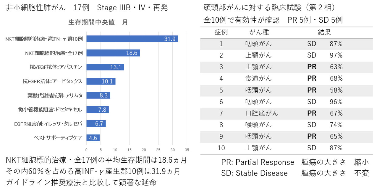 臨床試験・参考例